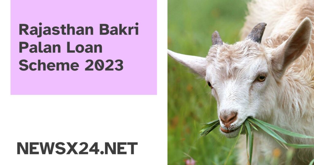 Rajasthan Bakri Palan Loan Scheme 2023